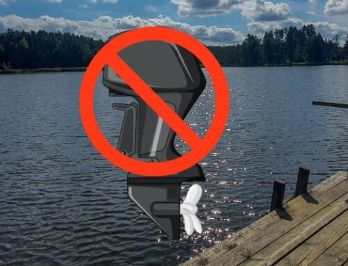 Verbrennerverbot? Jetzt auf Elektromotoren umsteigen